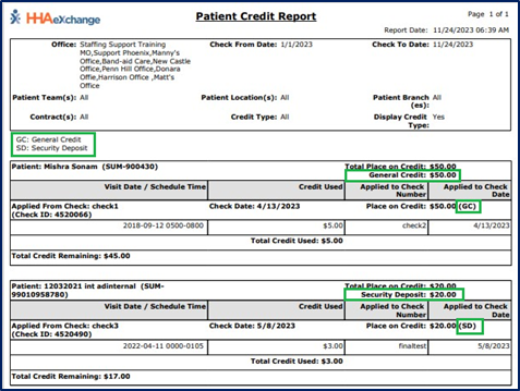 Patient Credit Report Output